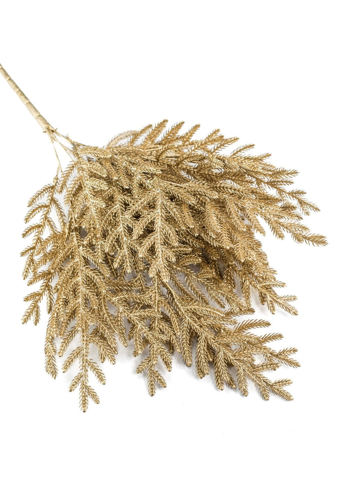 Gold Norfolk pine bush - Greenery Market84360