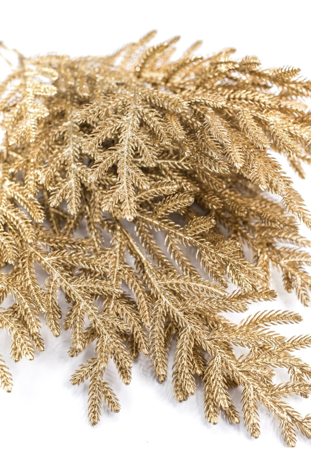 Gold Norfolk pine bush - Greenery Market84360