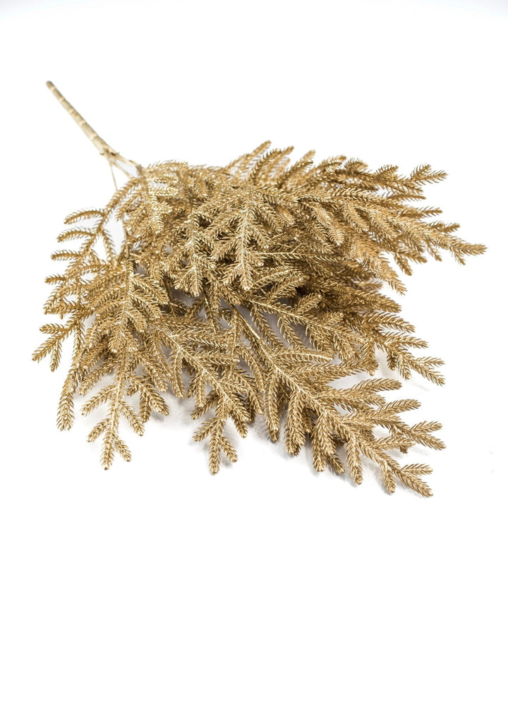Gold Norfolk pine bush - Greenery Market84360