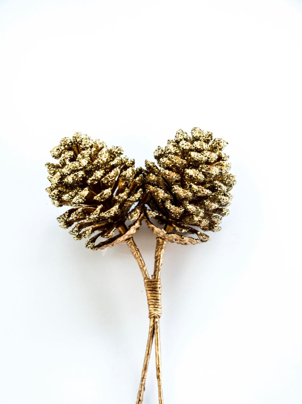 Gold Pinecones pick - Greenery MarketPicksXD688