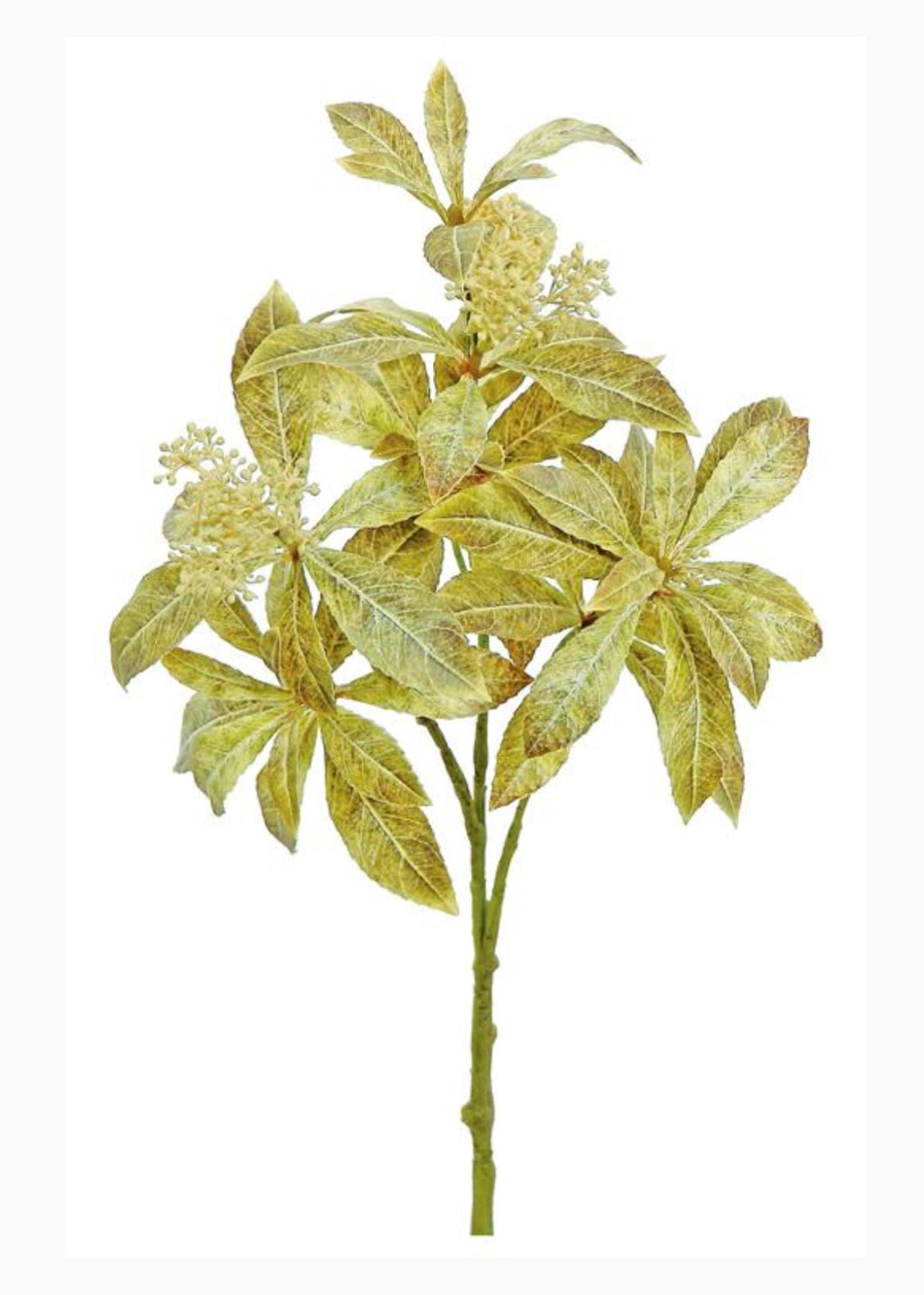 Golden leaves spray - Greenery MarketFl6058 - GGO