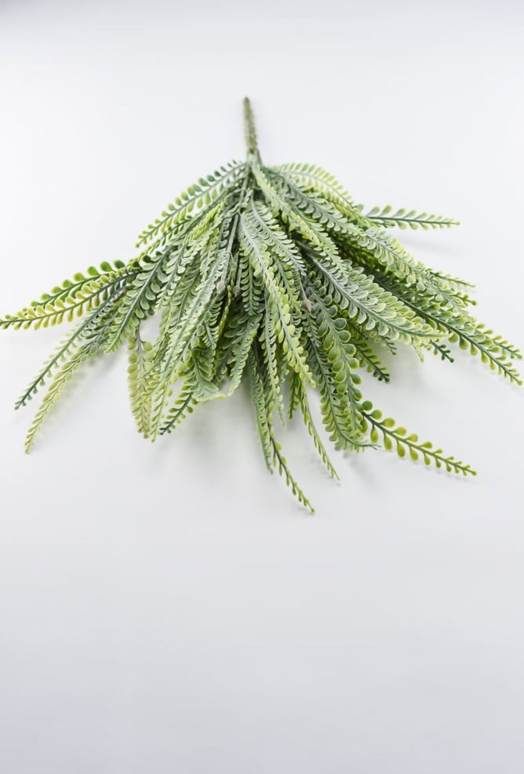 Gray Green frosted Dentate leaf bush, artificial fern - Greenery Marketgreenery80398