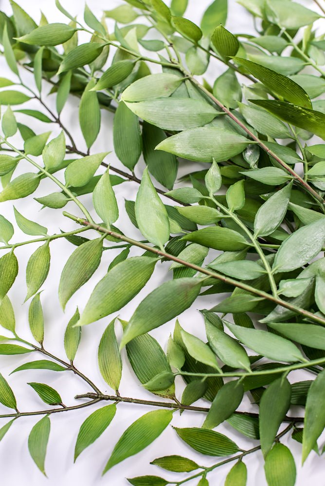 Green , Artificial Smilax Leaves Bush - Greenery Market