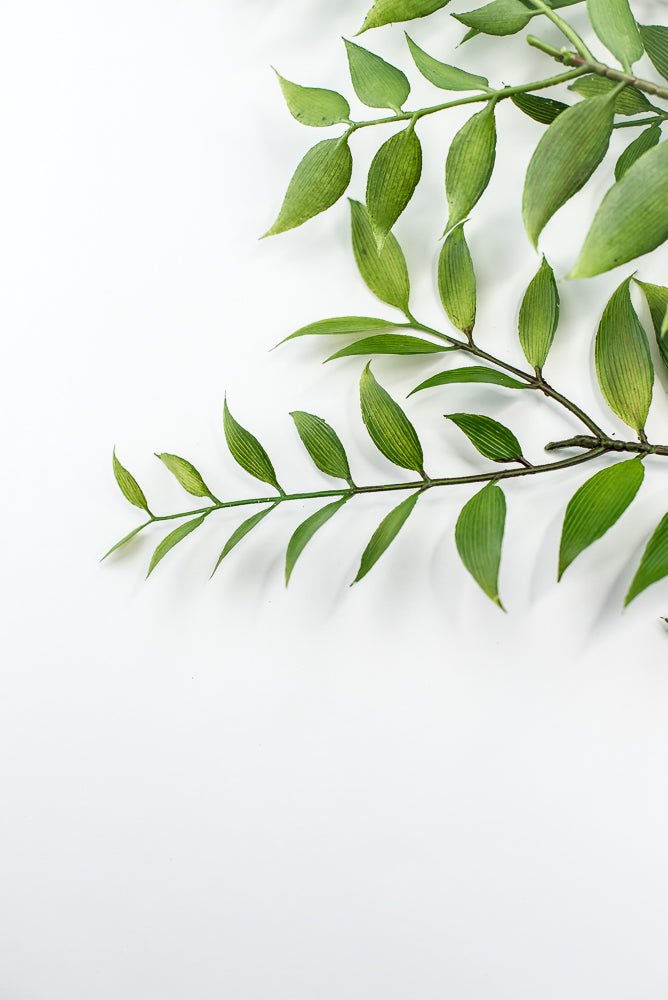 Green , Artificial Smilax Leaves Bush - Greenery Market220204