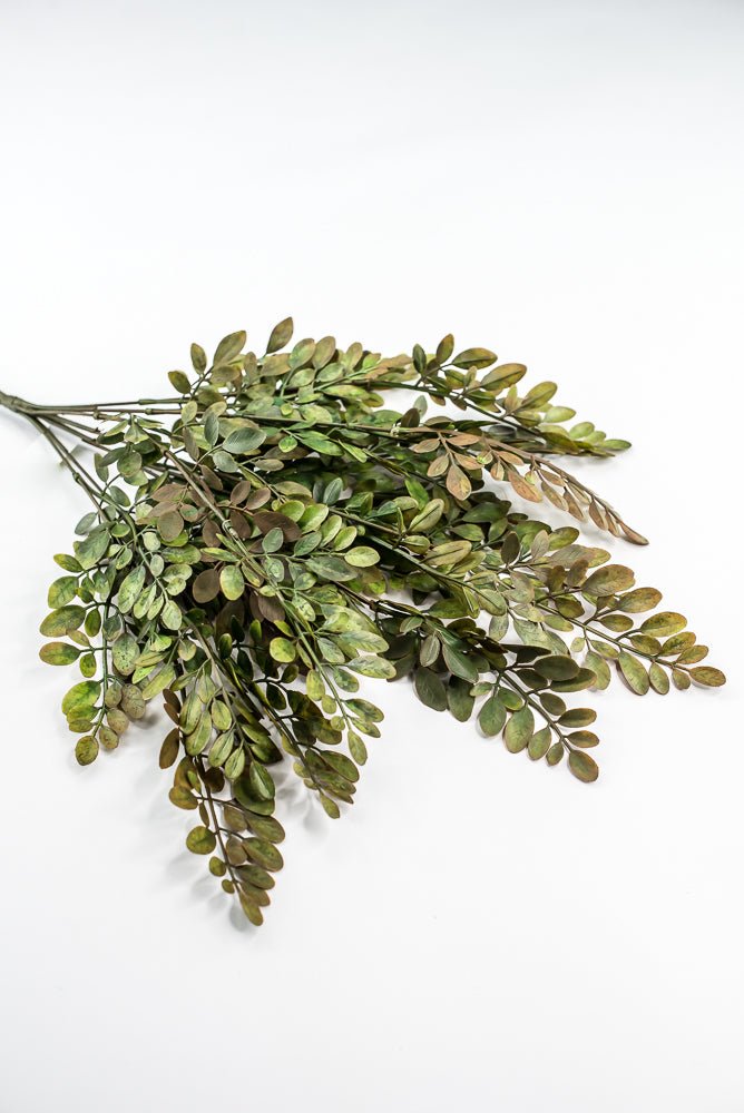 Green Brown Leaves Bush - Greenery Market57317SAGE