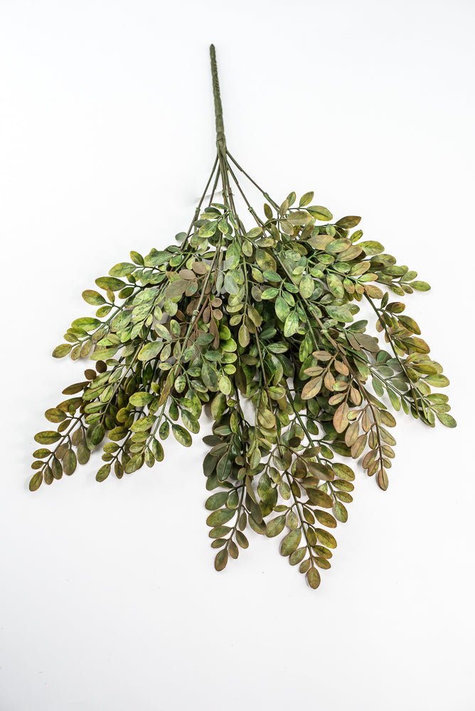 Green Brown Leaves Bush - Greenery Market57317SAGE