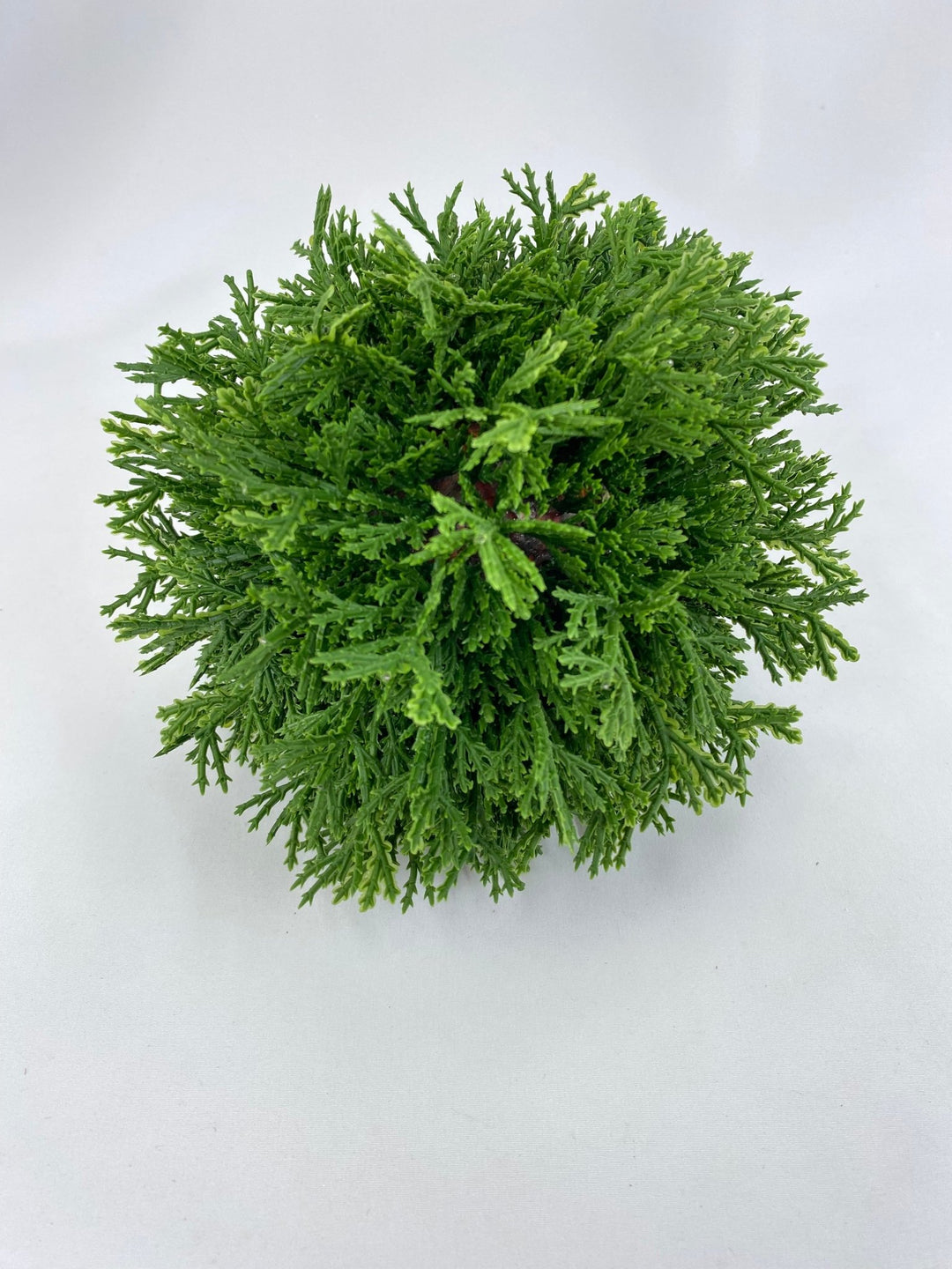 Green Cedar Orb Ball - 7" - Greenery Market2829138GR