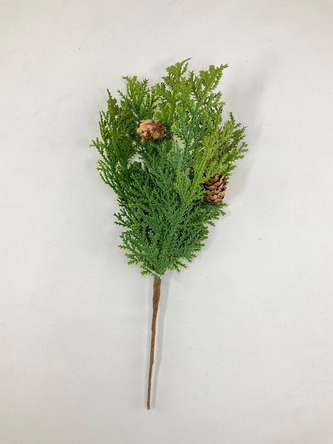 Green Cypress Pick - 11" - Greenery Market2830189GR