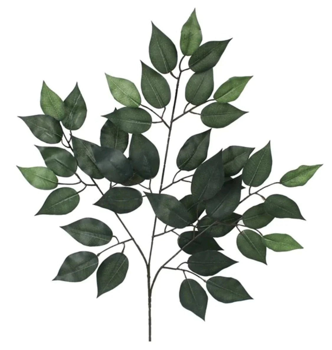 Green Ficus spray - 1 dozen sprays - Greenery MarketgreeneryFG505430