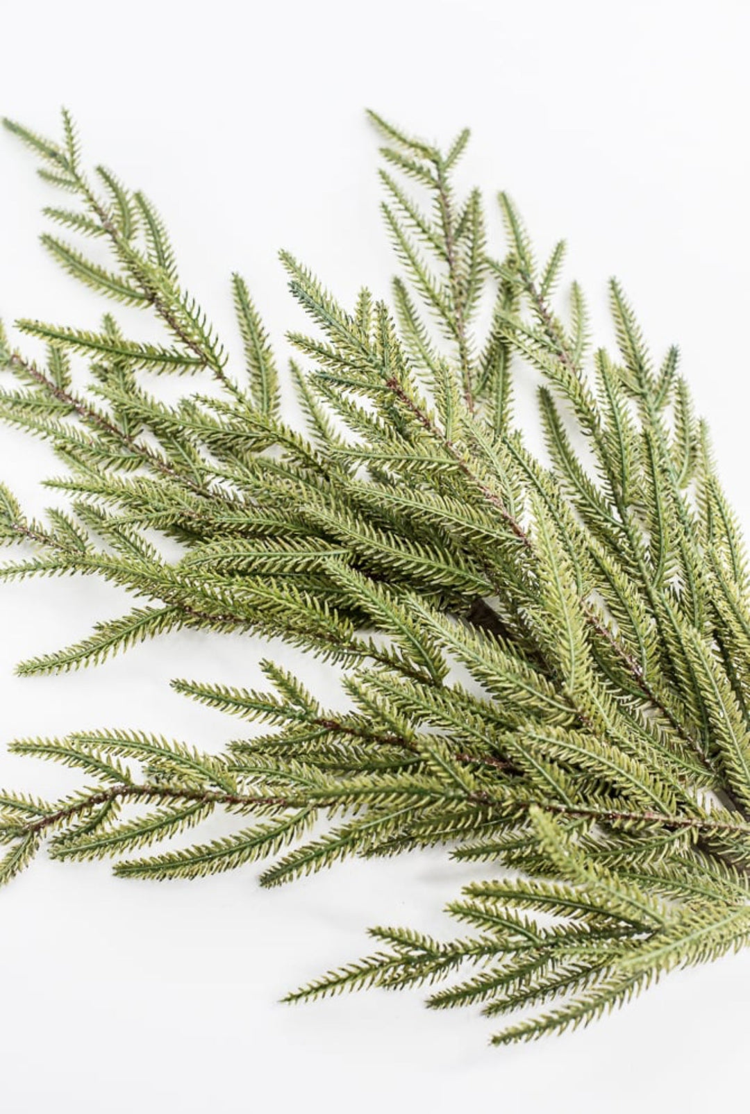 Green Fir Spray - Greenery Market86384GN