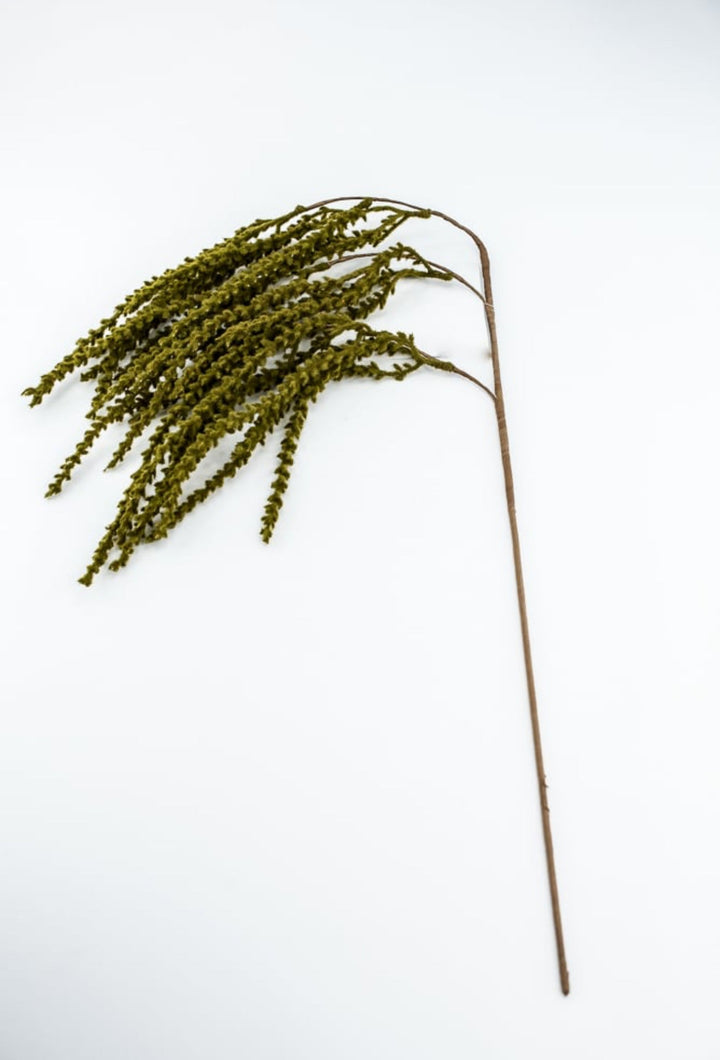 Hanging Reeds Hanging Greenery – Greenery Market