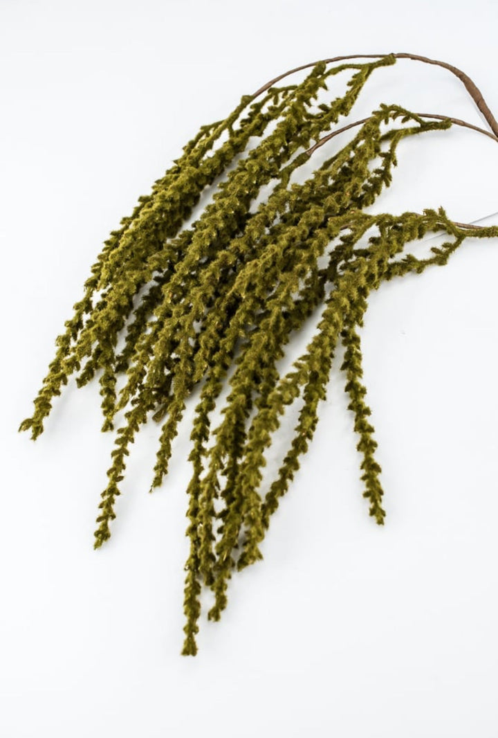 Hanging Reeds Hanging Greenery – Greenery Market