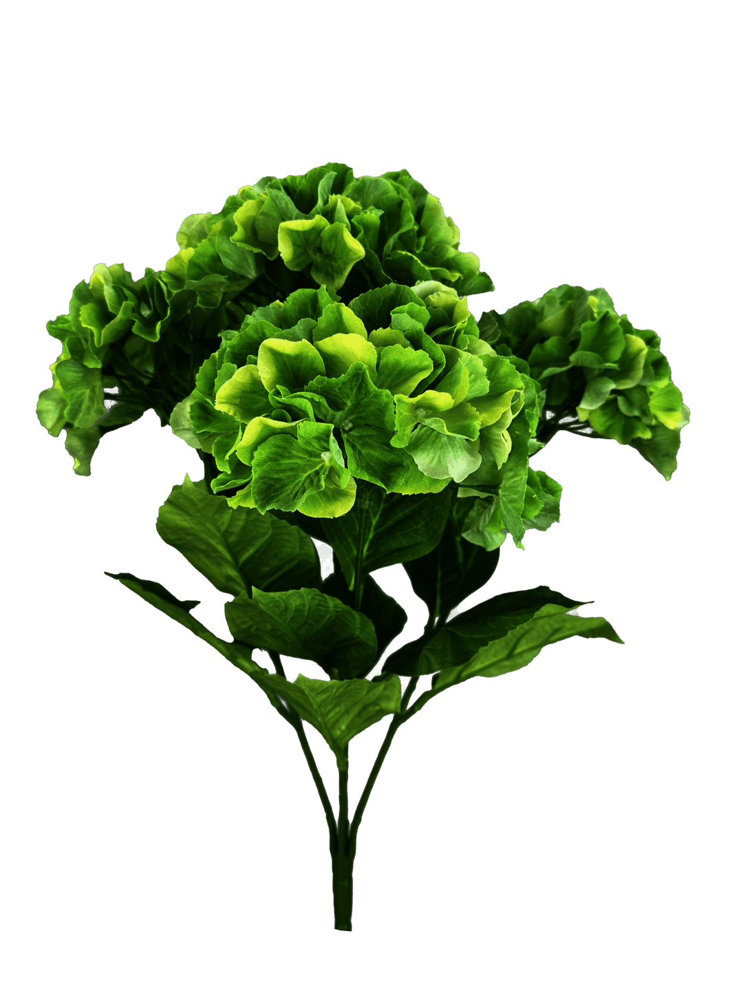 Green Hydrangea Bush - 23" - Greenery Market35147GN