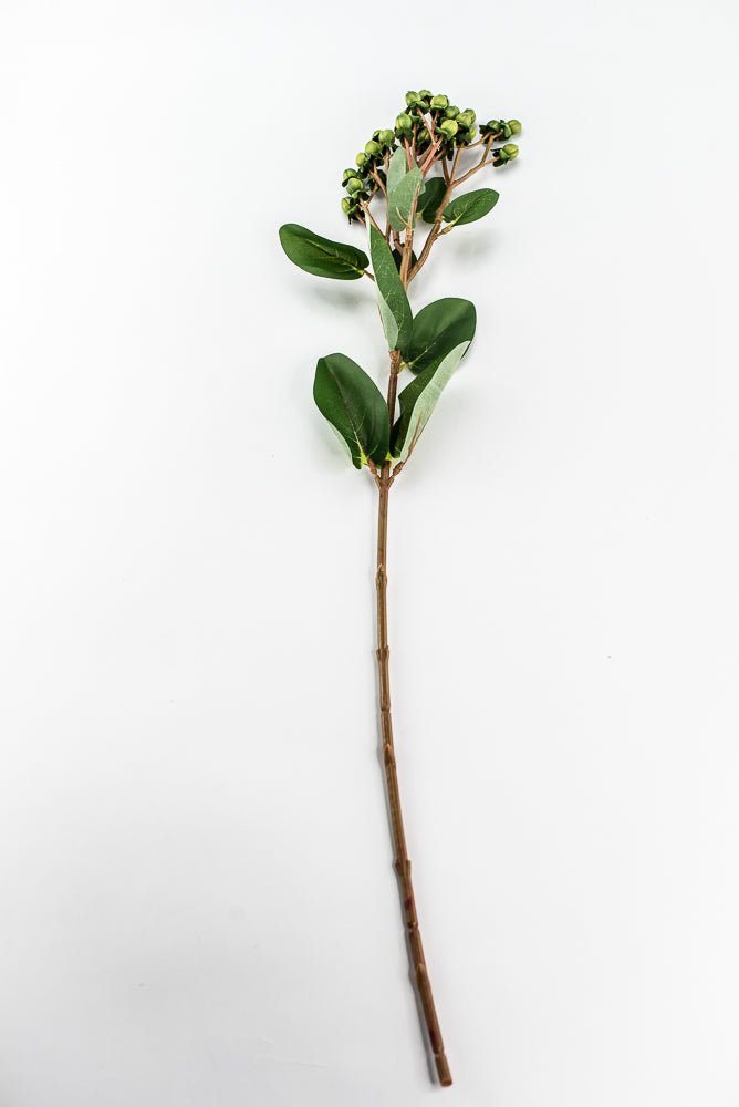 Green Hypericum Spray - Greenery MarketBerries29368GN