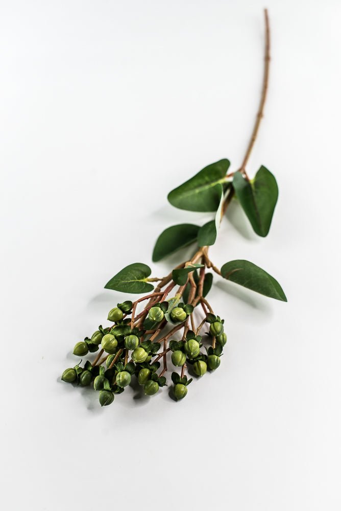Green Hypericum Spray - Greenery MarketBerries29368GN