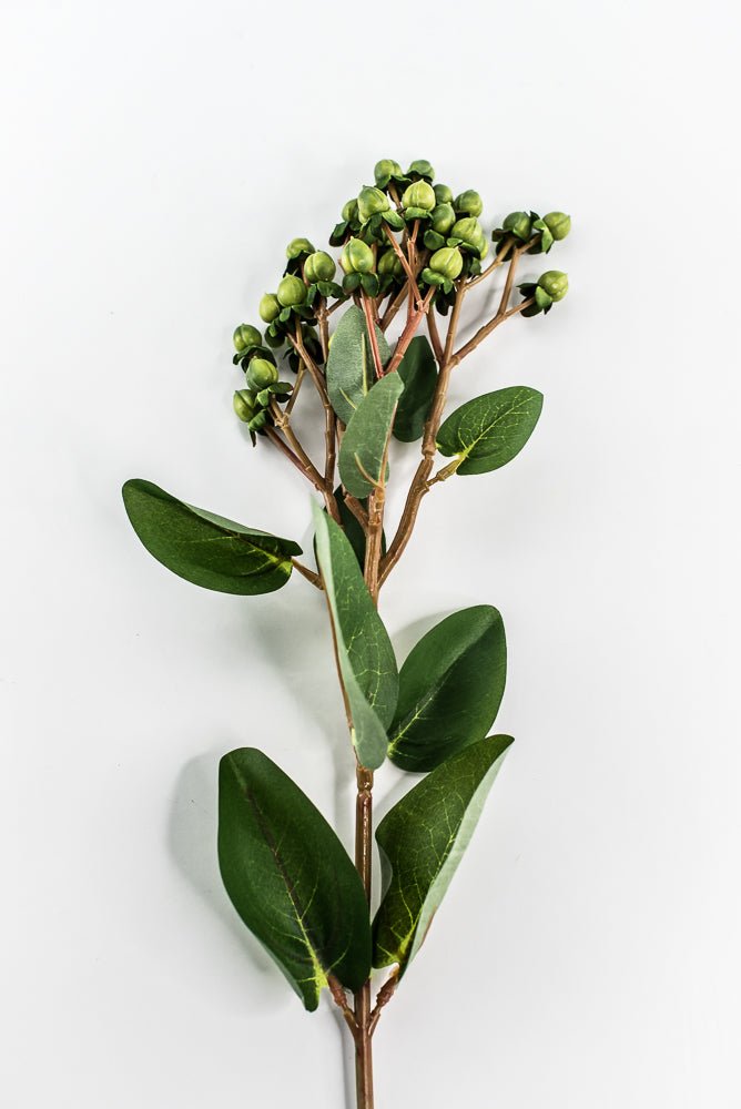 Green Hypericum Spray - Greenery MarketBerries29368GN
