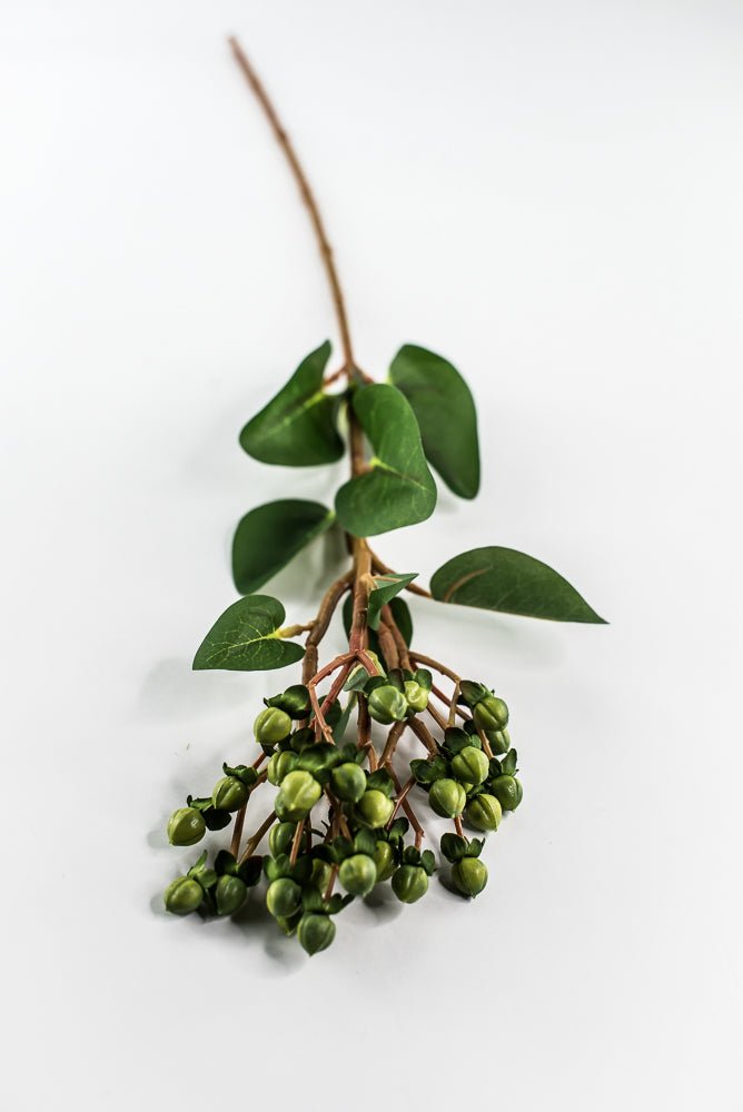 Green Hypericum Spray - Greenery MarketBerries29368GN