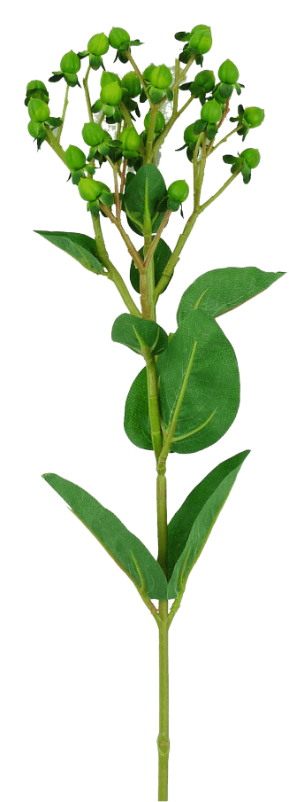 Green Hypericum Spray - Greenery Market29368GN