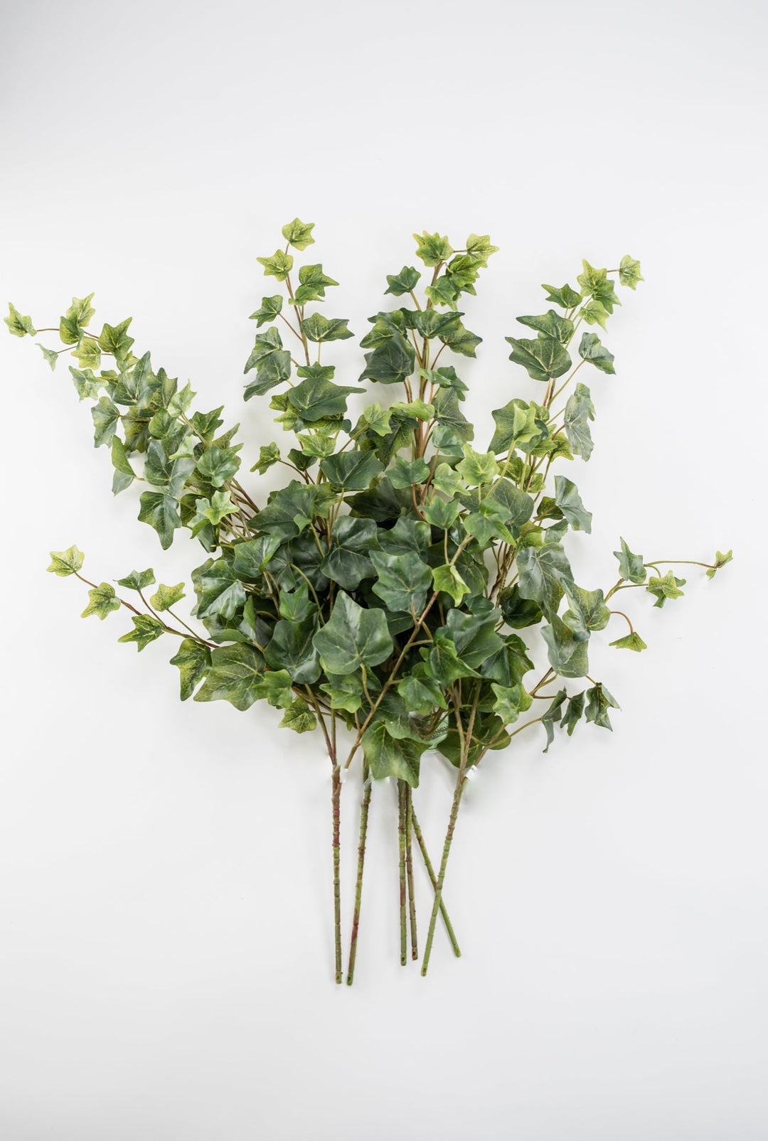 Green Ivy Spray x Bulk 6 Sprays - Greenery MarketMTF24582 TTGR x 6 sprays