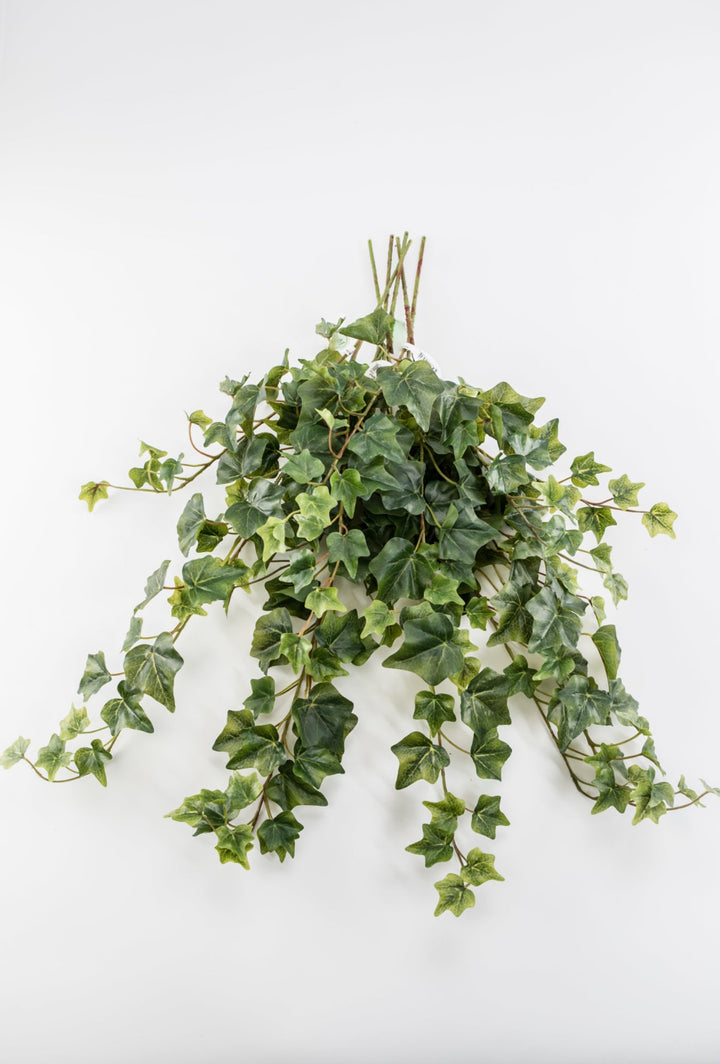 Green Ivy Spray x Bulk 6 Sprays - Greenery MarketMTF24582 TTGR x 6 sprays