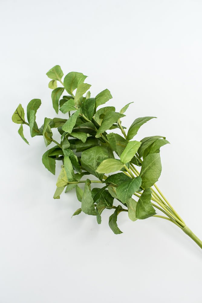 Green leaves basil bush - Greenery Market2320077GR