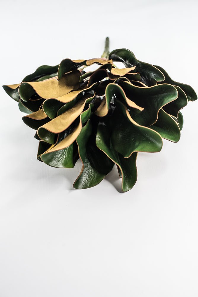 Green Magnolia Leaf Bush - 18" - Greenery MarketFL3273G