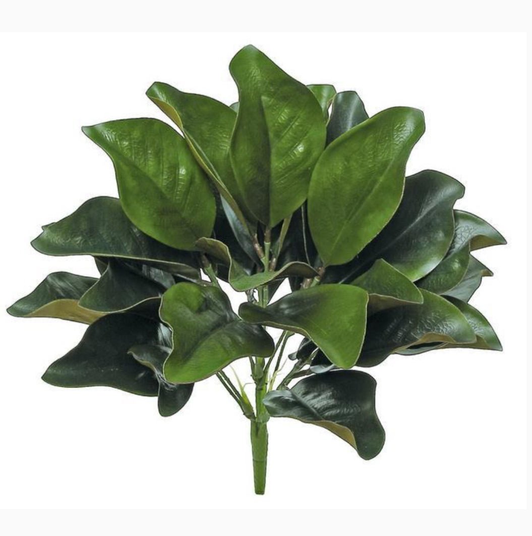 Green Magnolia Leaf Bush - 18" - Greenery MarketFL3273G