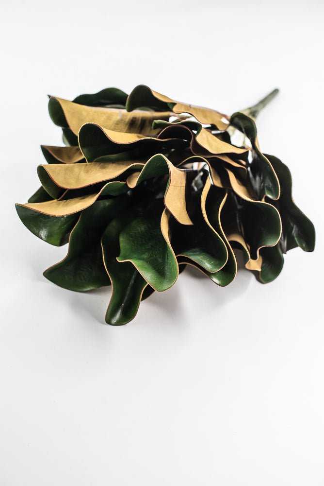 Green Magnolia Leaf Bush - 18" - Greenery MarketFL3273G