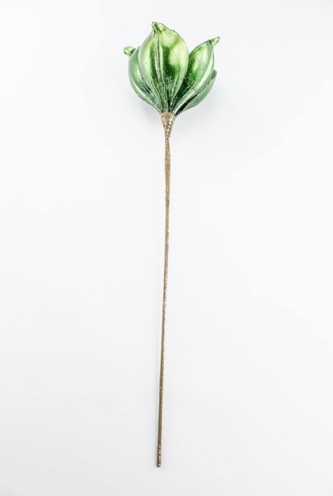 Green Magnolia Stem - Greenery Market32161-GN