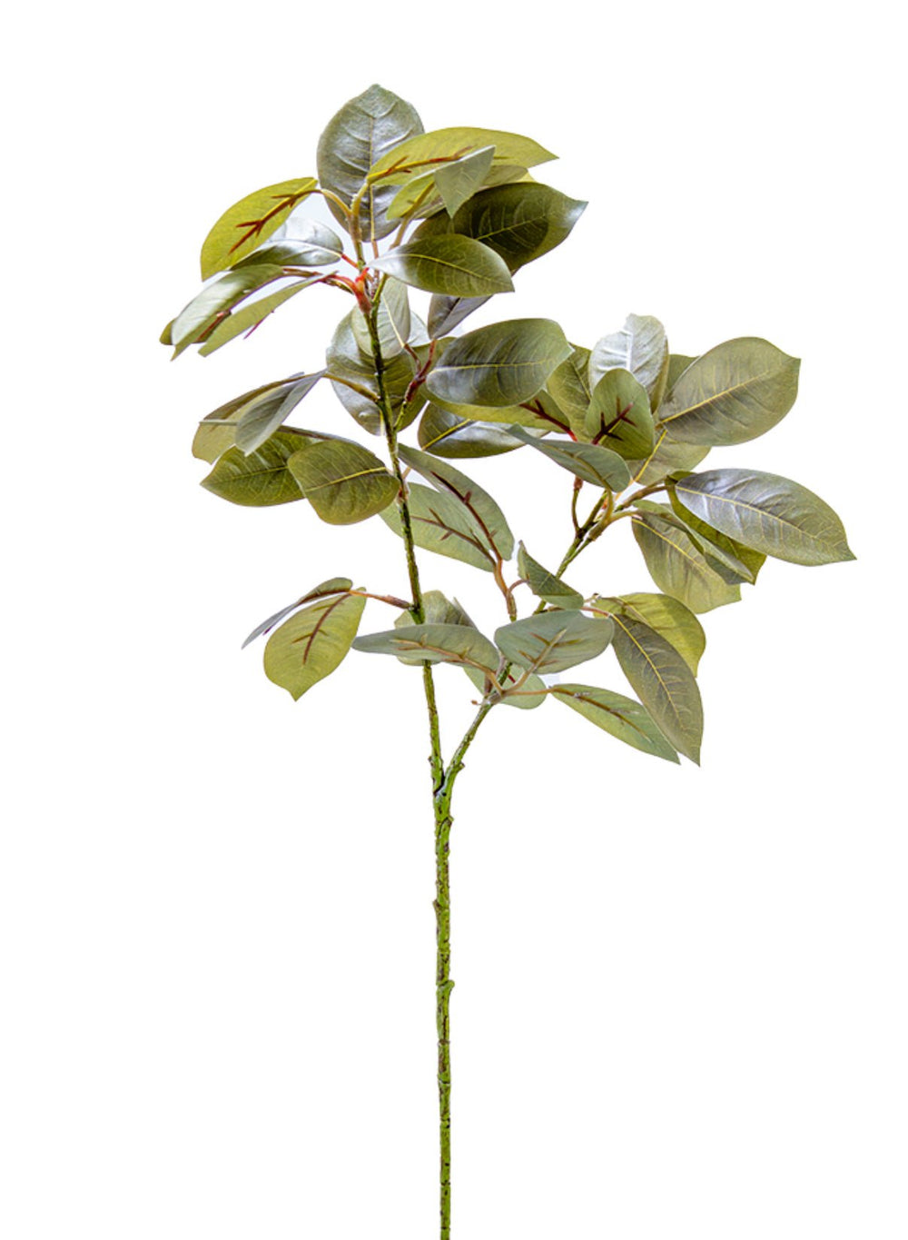 Green Nandina Leaf Spray - 30" - Greenery Market2751156GR