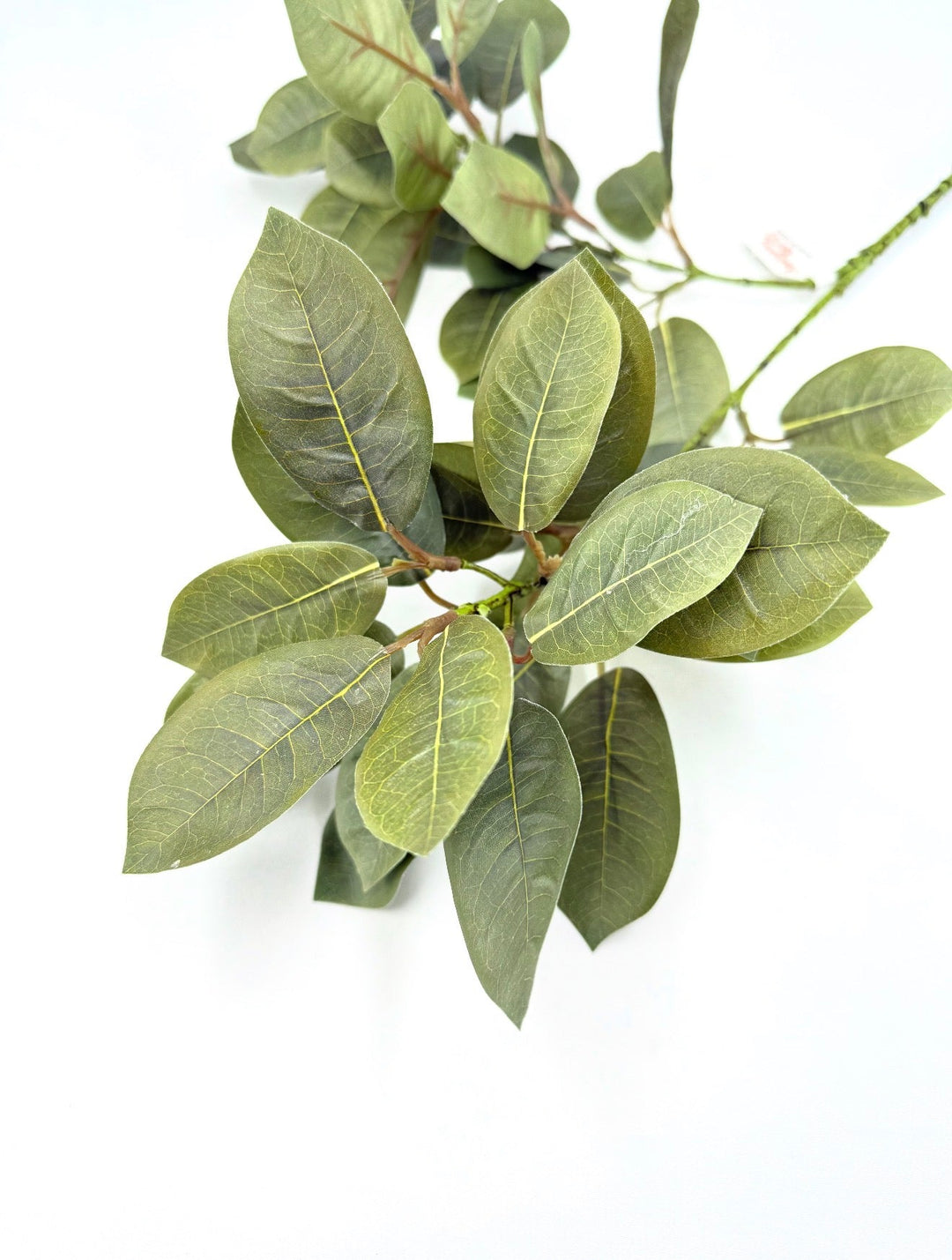 Green Nandina Leaf Spray - 30" - Greenery Market2751156GR