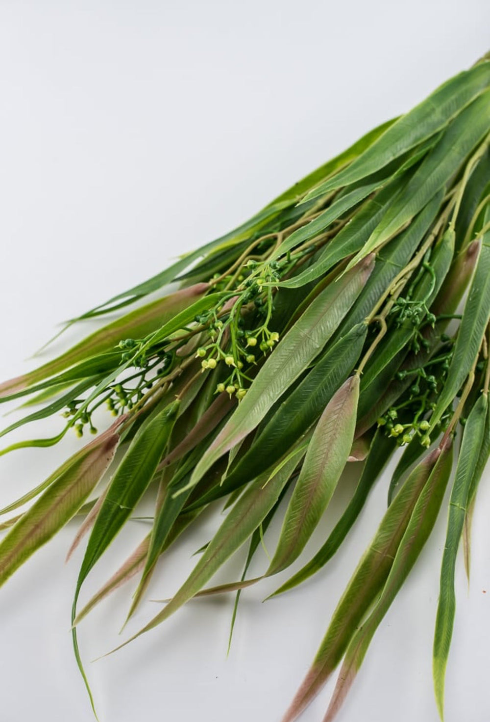 Green pink, Eucalyptus with seed greenery bush - Greenery Market26961