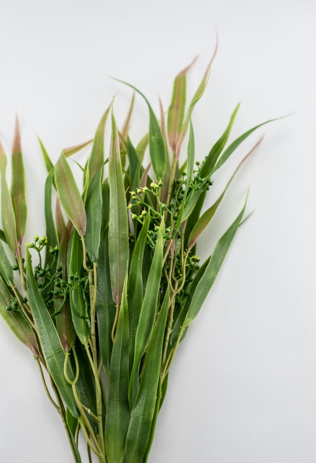 Green pink, Eucalyptus with seed greenery bush - Greenery Market26961