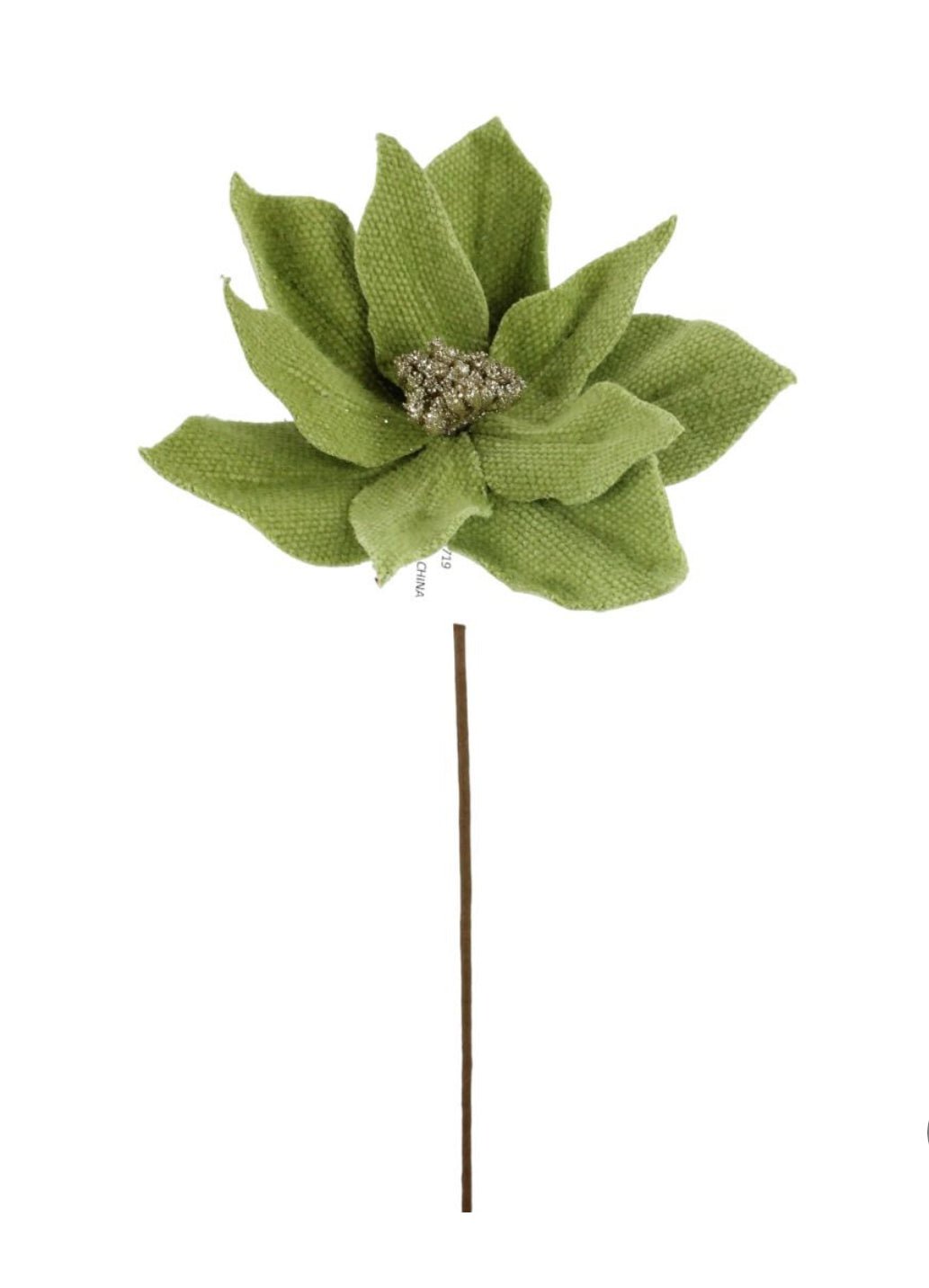 Green poinsettia stem - Greenery Market233719