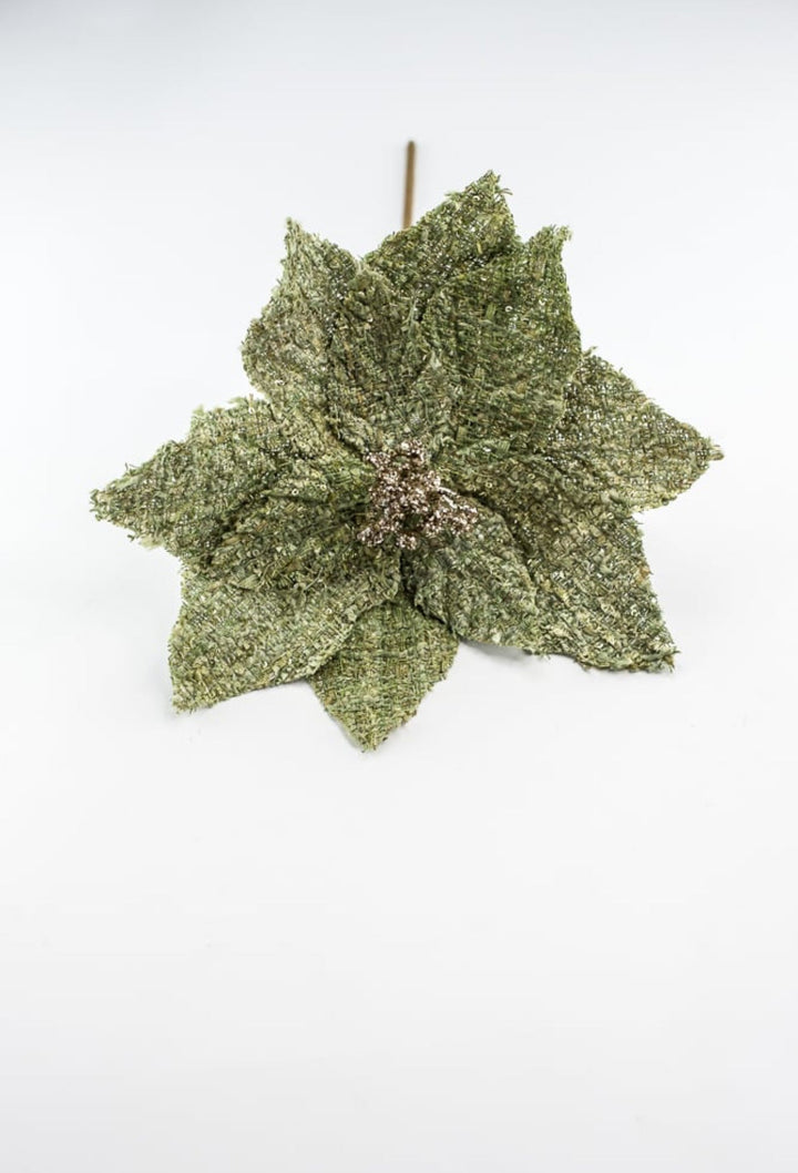 Green poinsettia stem - Greenery Market235651