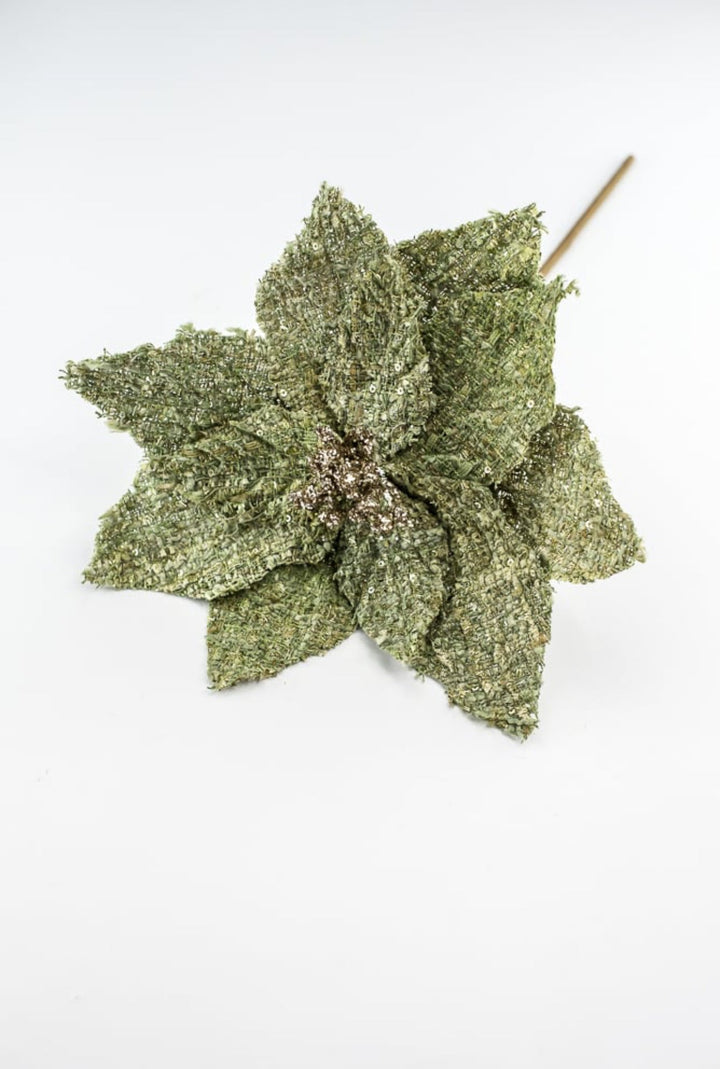 Green poinsettia stem - Greenery Market235651