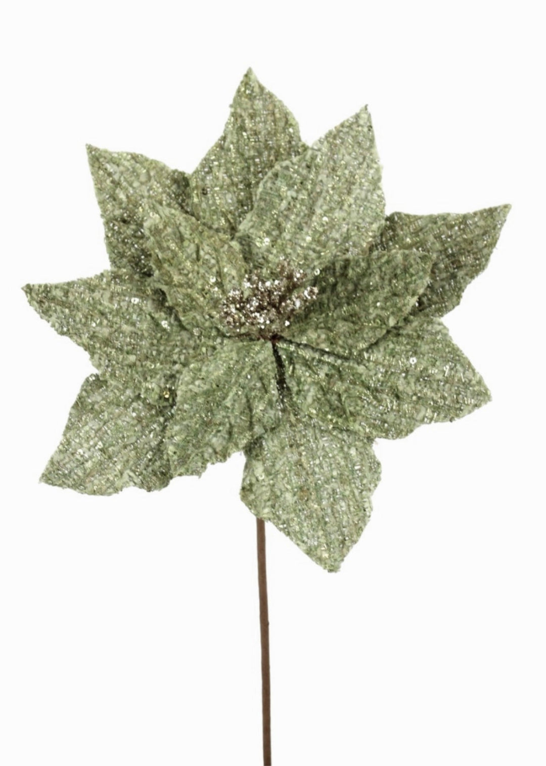 Green poinsettia stem - Greenery Market235651