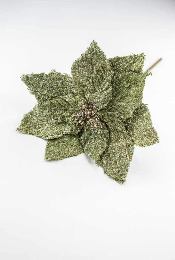 Green poinsettia stem - Greenery Market235651