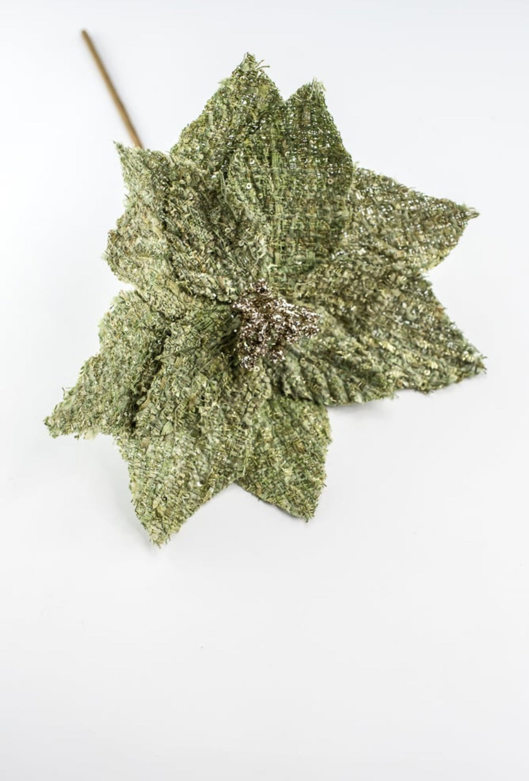 Green poinsettia stem - Greenery Market235651