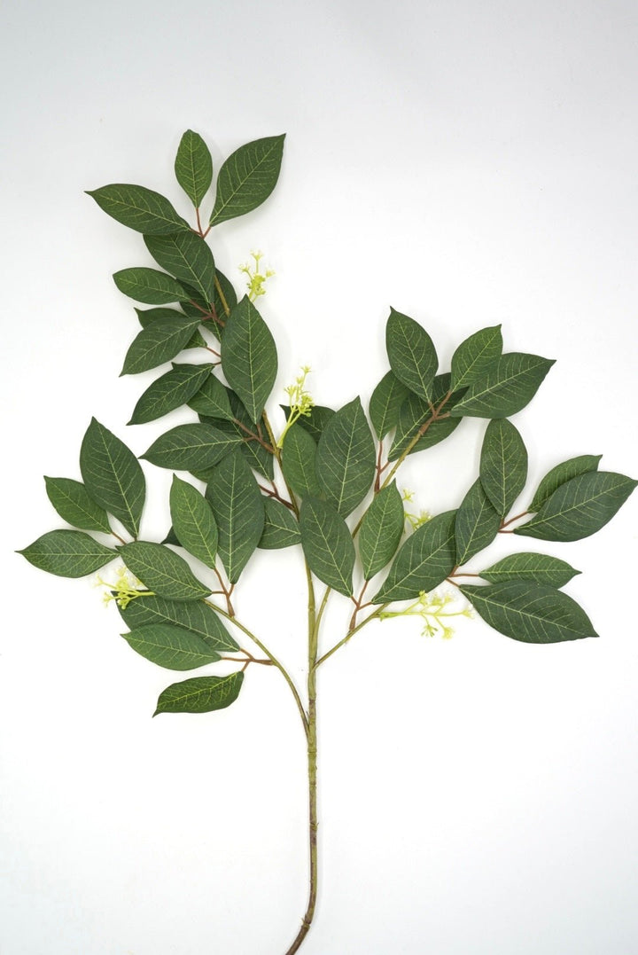 Green Privet Leaves Spray - 34" - Greenery MarketArtificial Flowers13669GN