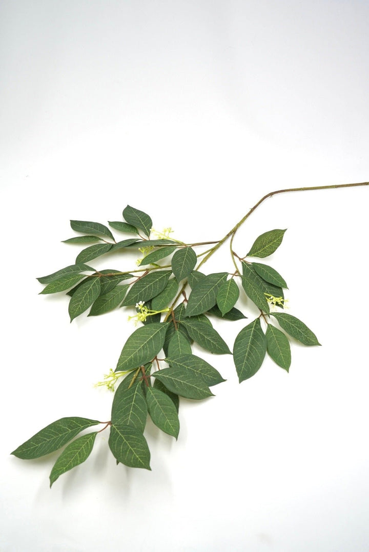 Green Privet Leaves Spray - 34" - Greenery MarketArtificial Flowers13669GN