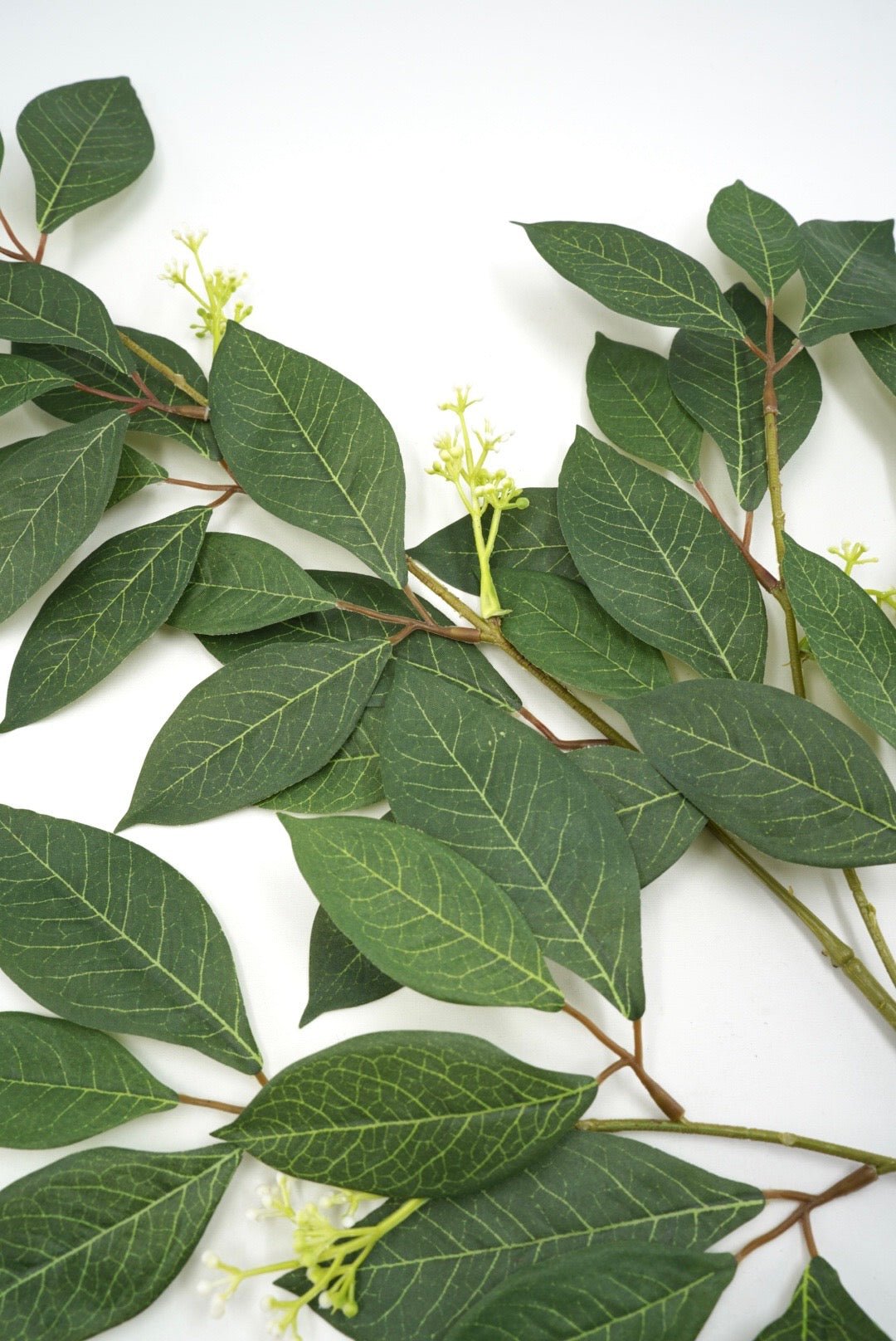 Green Privet Leaves Spray - 34" - Greenery MarketArtificial Flowers13669GN