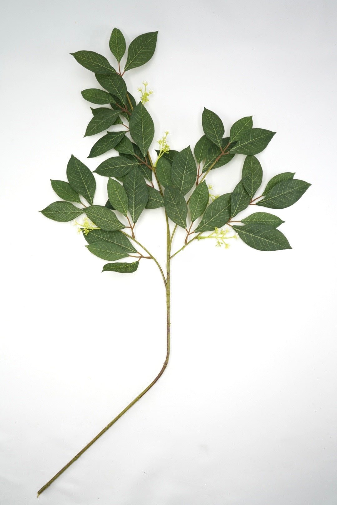 Green Privet Leaves Spray - 34" - Greenery MarketArtificial Flowers13669GN
