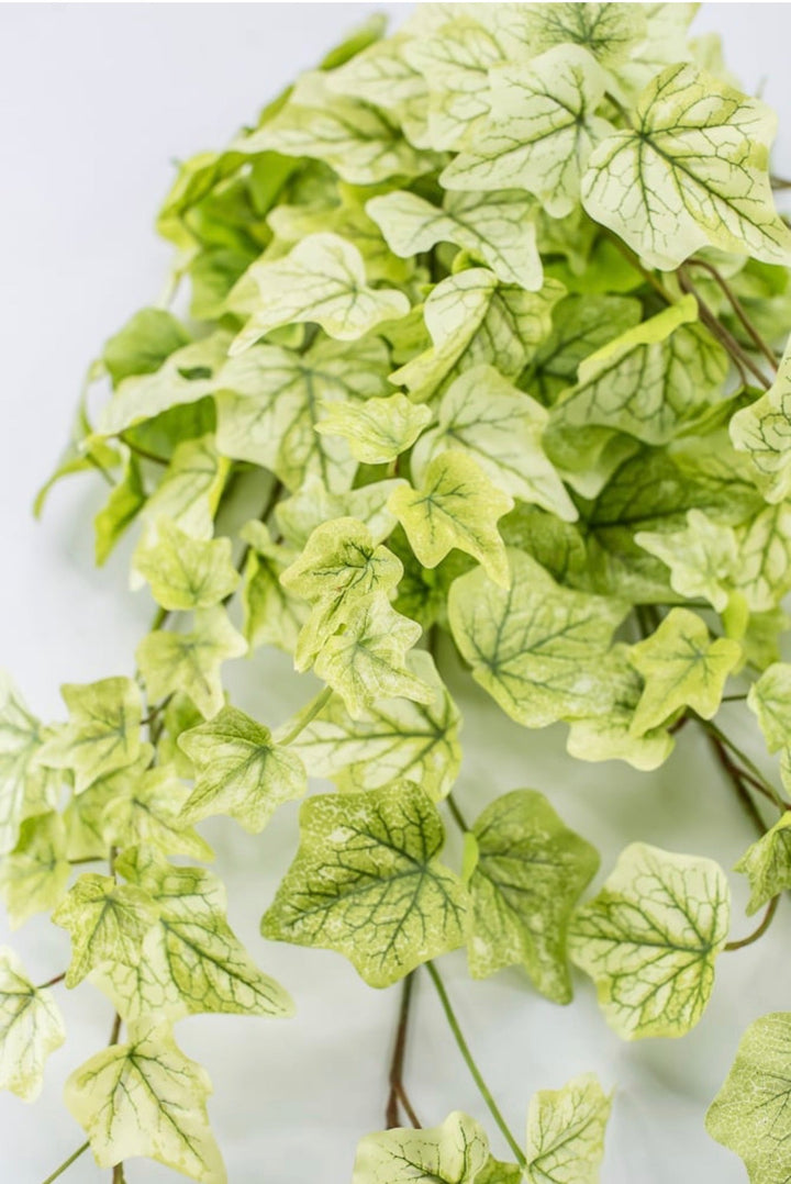 Green Real Touch Ivy Hanger - 28" - Greenery Market80241-LT.GN