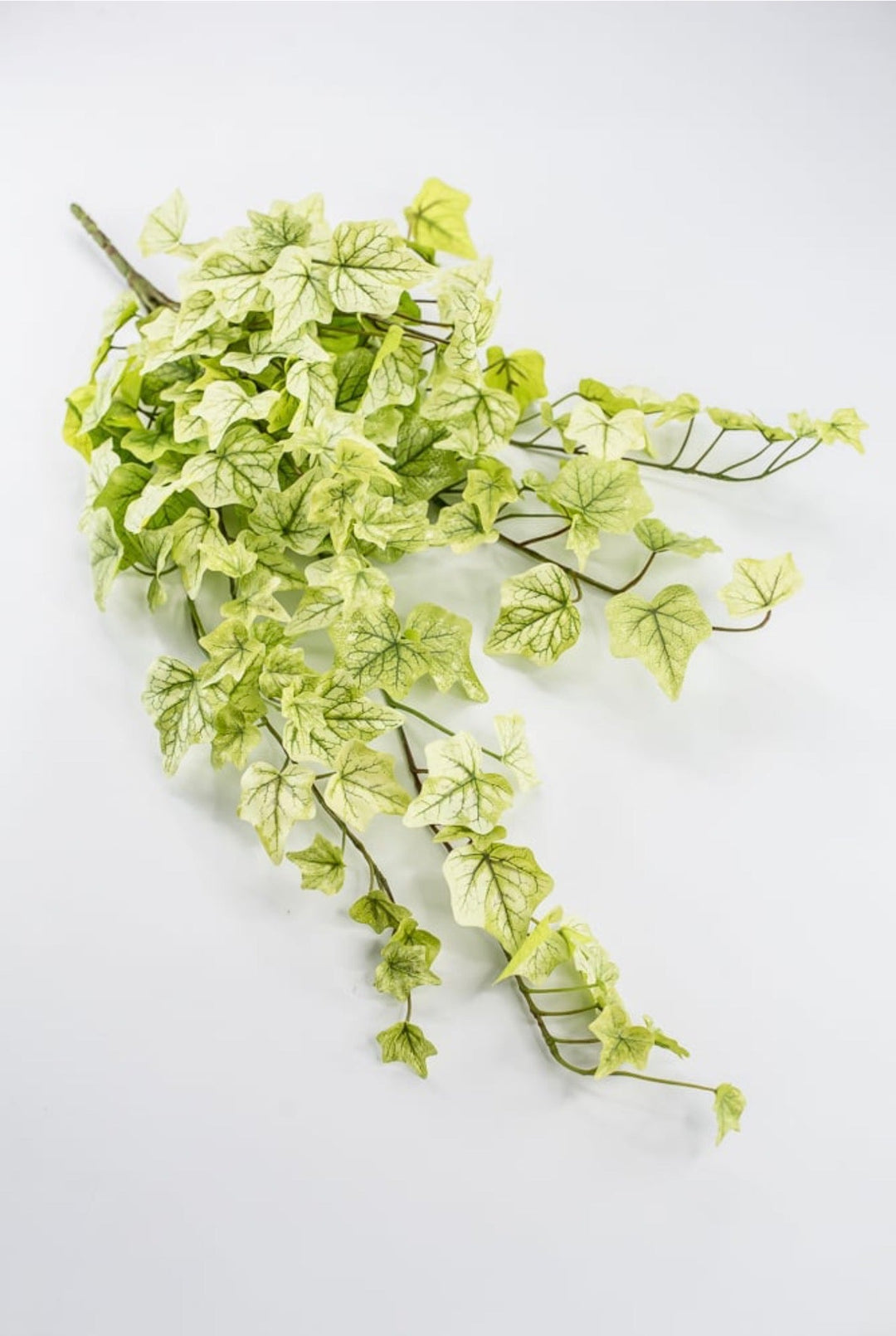 Green Real Touch Ivy Hanger - 28" - Greenery Market80241-LT.GN