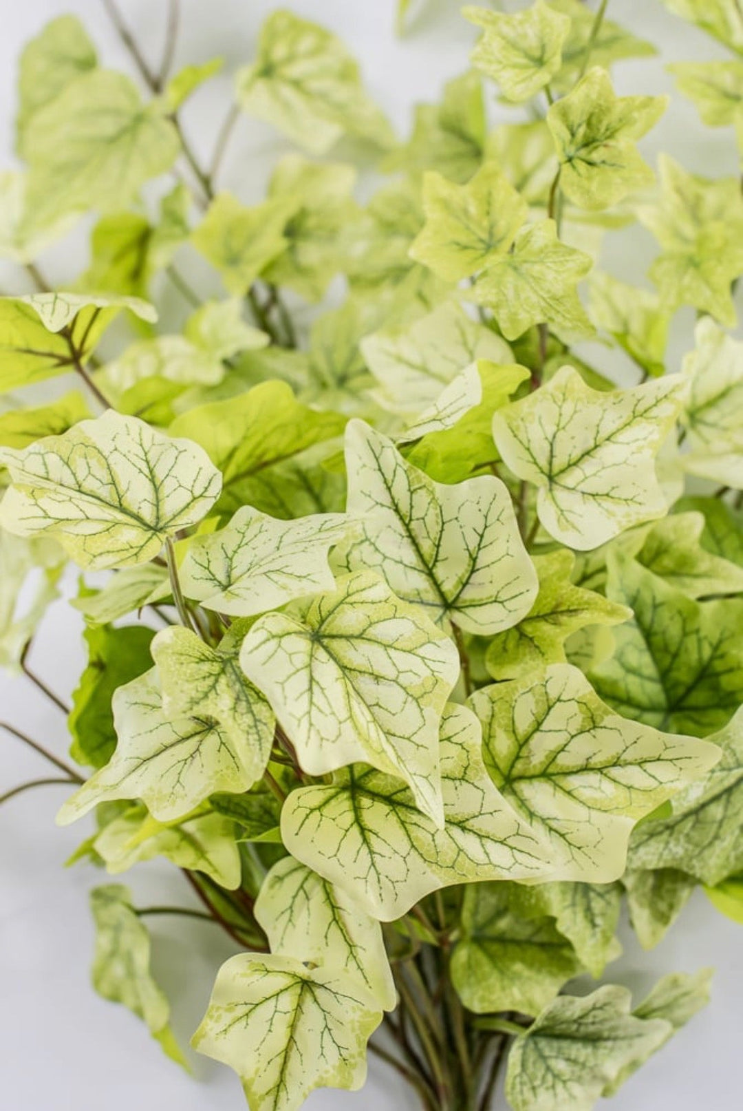 Green Real Touch Ivy Hanger - 28" - Greenery Market80241-LT.GN