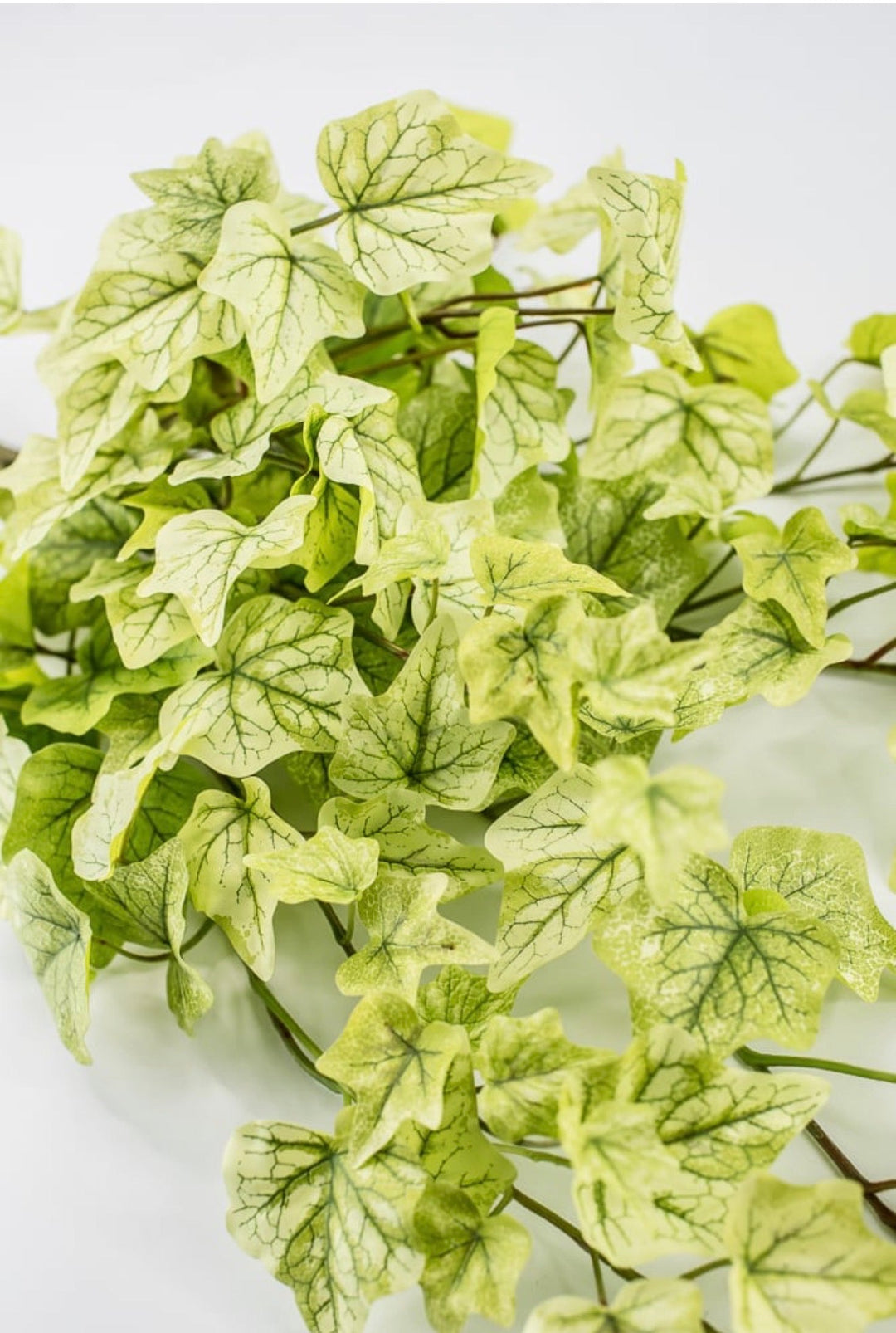 Green Real Touch Ivy Hanger - 28" - Greenery Market80241-LT.GN