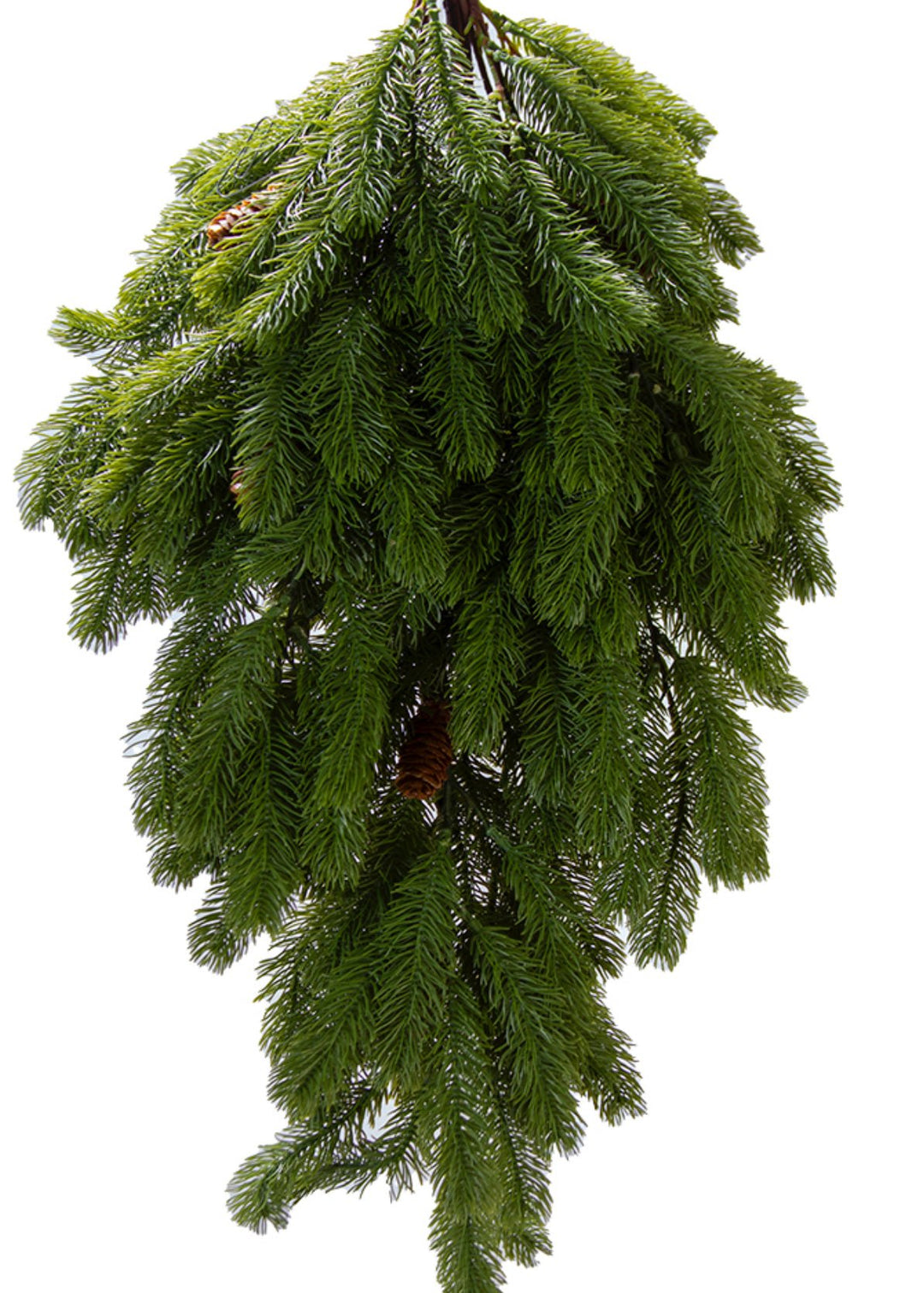 Green Sitka Pine Teardrop - 38" - Greenery Market2833457GR