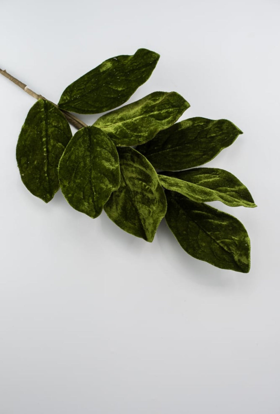 Green velvet magnolia leaf spray - Greenery MarketgreeneryXh536 - g