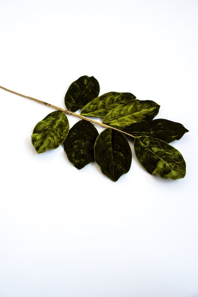 Green velvet magnolia leaf spray - Greenery MarketgreeneryXh536-g